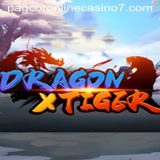 An In-Depth Look at DragonXTiger